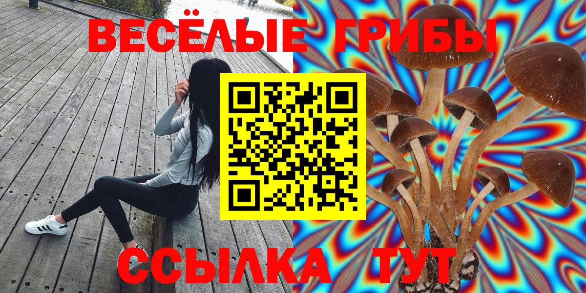 Псилоцибиновые грибы ЛСД  Псилоцибиновые грибы GOLDEN TEACHER  Вход с VPN  Добрянка 